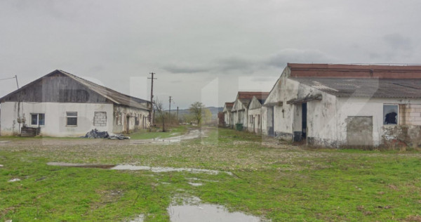 Ferma zootehnică de vânzare în Șieu Odorhei, intravilan,