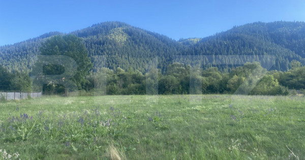 Teren de vânzare în Sadova, 900 mp