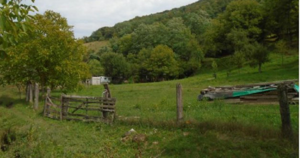 Teren extravilan-Loc. Roscani, comuna Dobra, judetul Hune...
