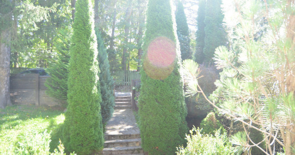 Vila de vacanta situata in Predeal-Cioplea