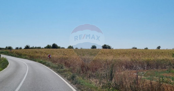 Teren 16.083 mp de v&acirc;nzare &ndash; Sinești, sat Lilieci, Sl...