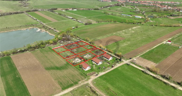 RECO , teren intravilan, Ineu,Bihor