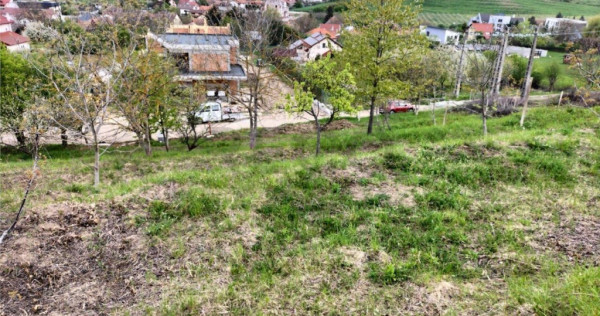 Reco Teren intravilan zona exclusivista Gheorge Doja 975 mp