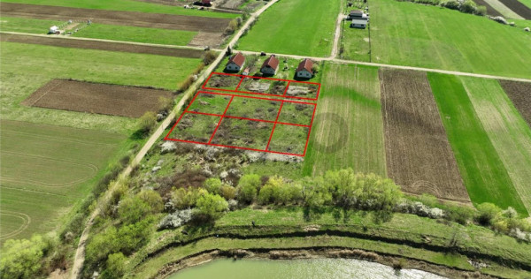 RECO, teren intravilan, Ineu,Bihor