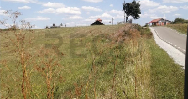 RECO, Teren in Pausa, Nojorid