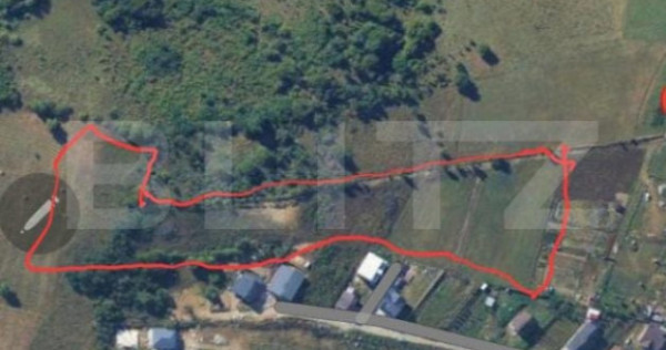 Teren 11600 mp (1 Hectar si 16 ari), zona Tarpiului, posibil