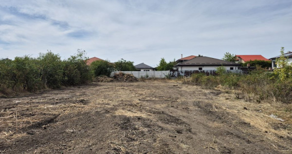 Teren intravilan 1000 mp - Domnesti