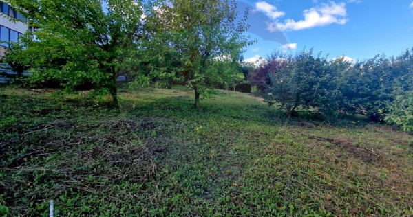 Teren 2,000mp Piatra-Neamt / Strada Pietrelor