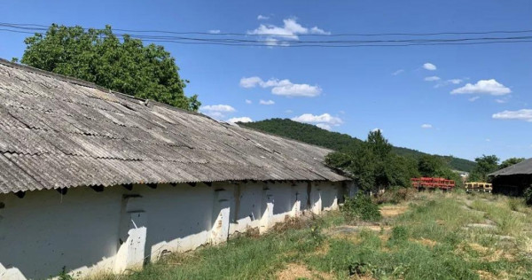 Spatiu Industrial multifunctional: productie, depozitare,log