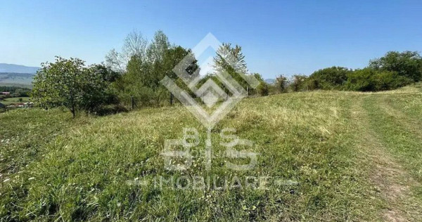 Teren Extravilan - 10'000 Mp - Valea Budacului (Bistrita)