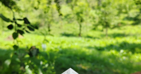 Teren intravilan 1035 mp cu pârâu, Breaza, Prahova