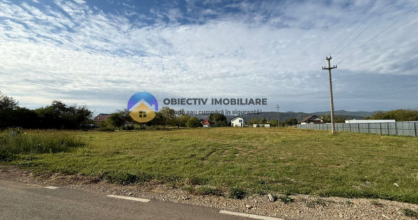 Teren de vânzare 1800 mp – Dumbrava Roșie