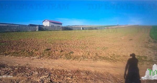 Teren extravilan de 5.000 mp, arabil, in imediata apropiere