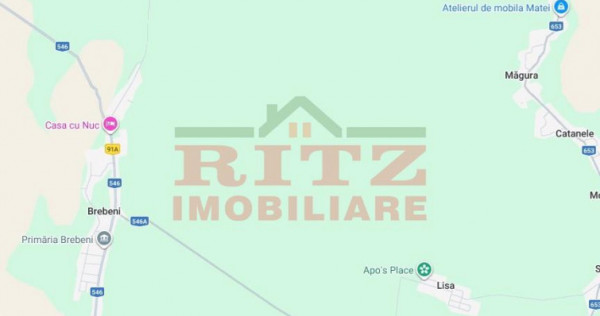 Nou! Terenuri extravilane, 28 hectare, in Brebeni, Olt!