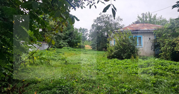 Teren, 2.280 mp, strada Principala