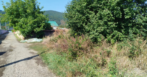 Casã pitoreascã de vânzare