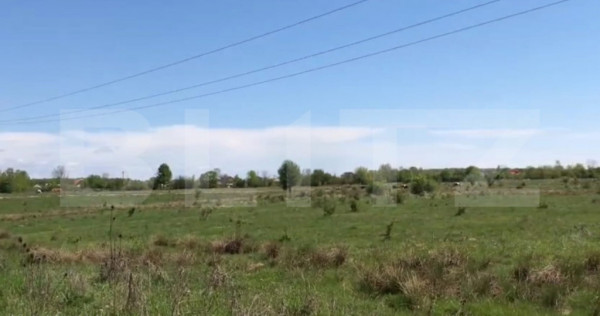 Teren, 5453 mp, zona Suta Seaca