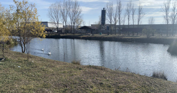 Teren intravilan 500mp, Pielesti