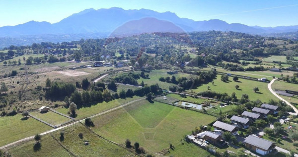 Comision 0% | Oportunitate de investiție | Tohanu Nou&ndash;...