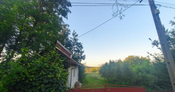 Casa individuala, 3500mp teren, zona Negostina, Siret