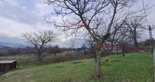 Teren intravilan la Strada Principala in Haulisca