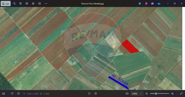 Teren 9,400 mp intravilan Nuci Ilfov