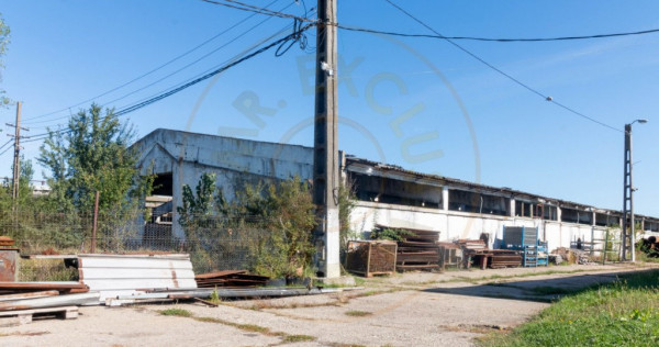 Hala industrial-comerciala