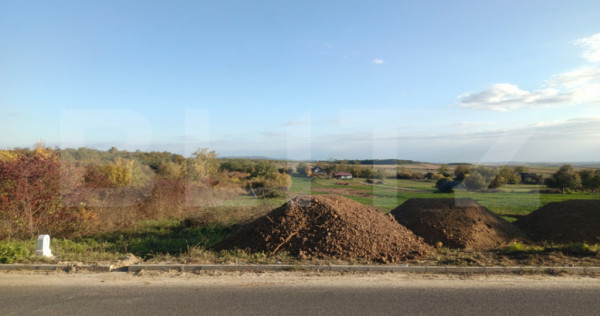 Teren intravilan de vanzare, 1918 mp, Ardud