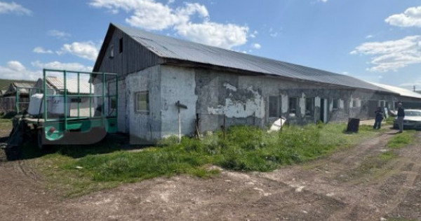 Hala Industriala 400 mp utili + 400 mp curte, JELNA