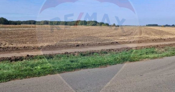 Teren 21,177mp Santaul Mic / Strada -