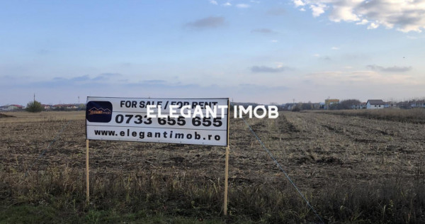 Teren Corbeanca - Ostratu