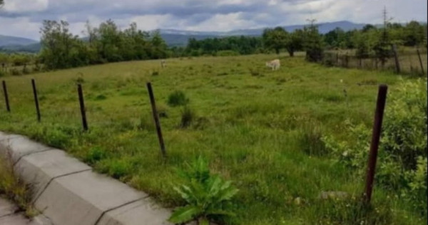 Teren 5000 mp, cu utilități, în comuna Crasna