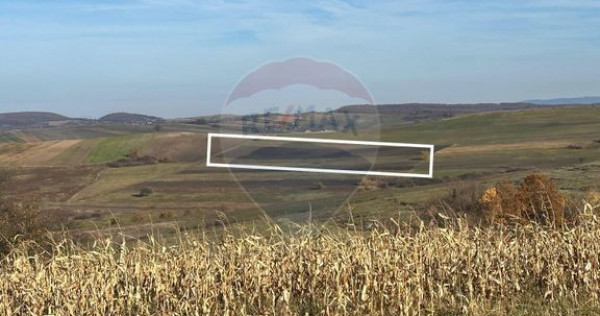 DE VANZARE - TEREN agricol