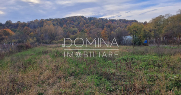 Teren intravilan, 4967 mp, utilități, sat Rasova, Băleș