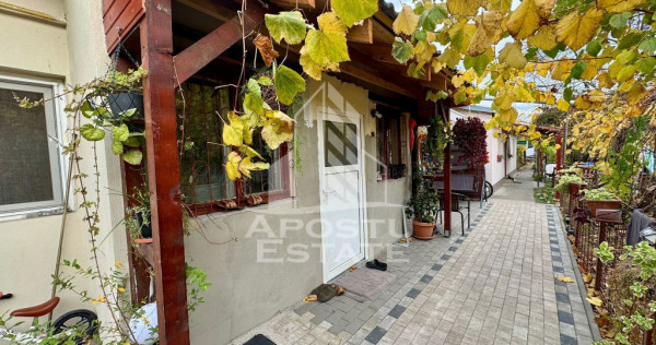 Doua apartamente la curte comuna , zona Iosefin