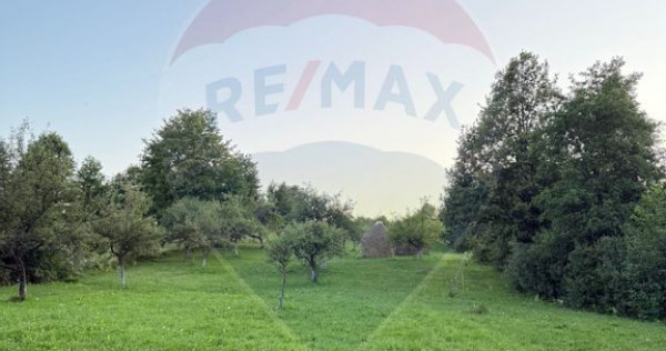 Teren în cea mai turistica localitate din Romania - Breb...