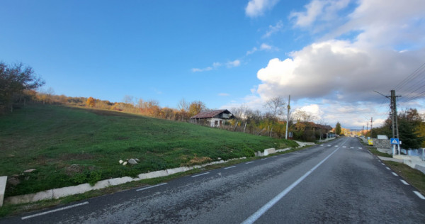 Teren 11.939 mp Bălănești – ideal rezidențial/comercia