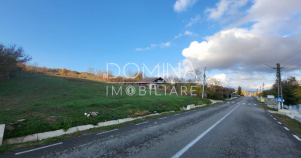 Teren 11.939 mp Bălănești &ndash; ideal rezidențial/comercia