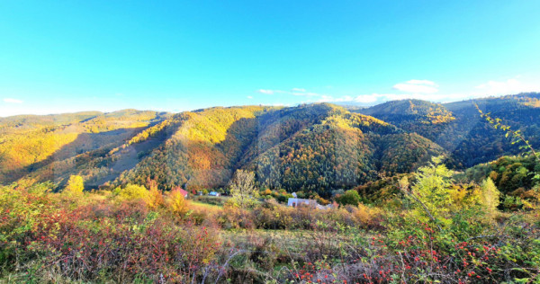 TEREN CU PANORAMA, strada principala, 9959mp, Marisel