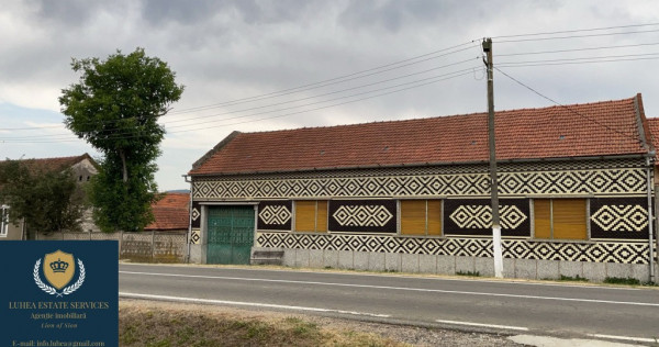 Casă + teren uriaș Remetea Poganici, Caras-Severin