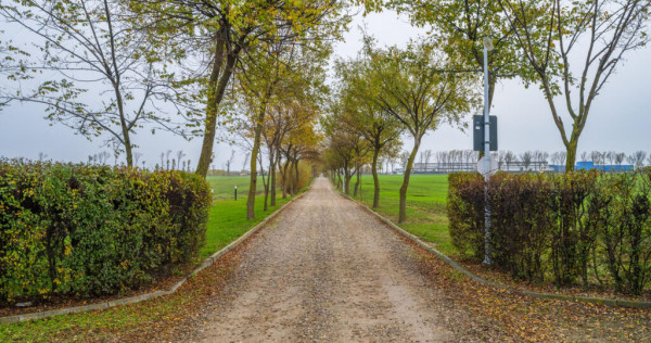 Teren intravilan de | Cartier rezidențial deosebit |