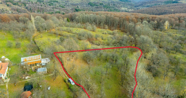 Teren intravilan 4384 mp &ndash; Comuna Talea, județul Prahova