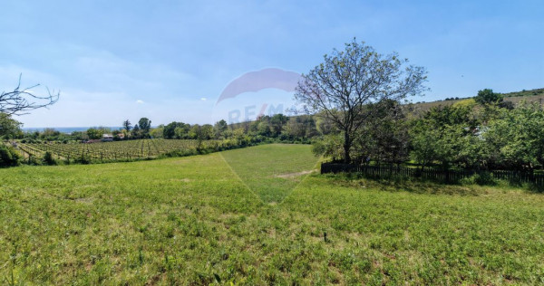 Tere cu constructie de vanzare in Urlati