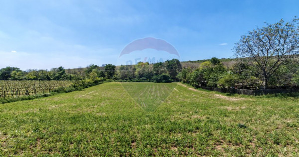 Tere cu constructie de vanzare in Urlati