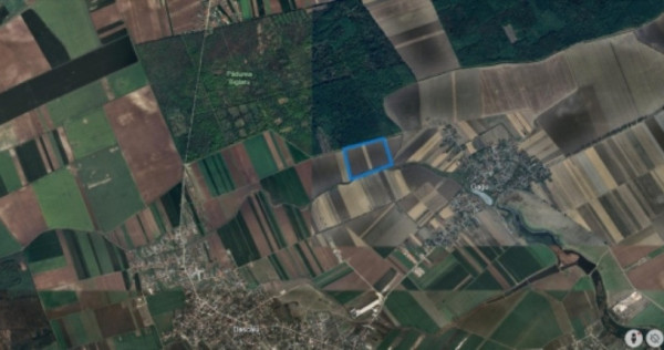 Teren de vanzare in Ilfov, Gagu, deschidere 74ml, 20762mp, 62.000euro