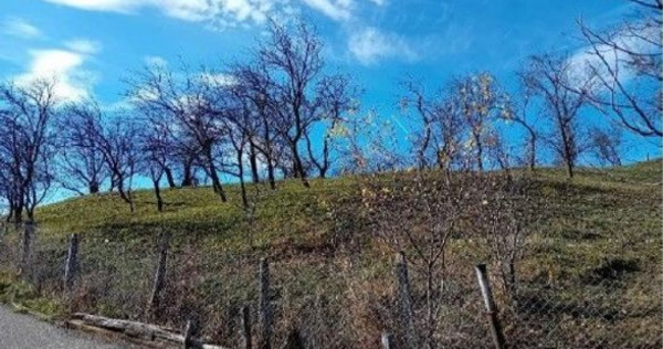 Teren cota parte 1/2, Sat Vistieru, ID: R2809860