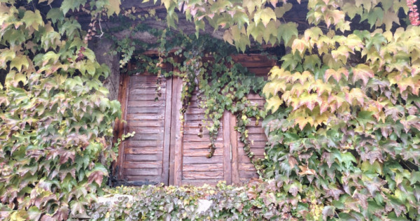 Proprietate in zona Parcului N Romanescu, casa batraneasca s