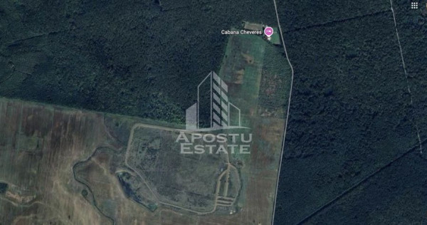 Teren 27000 mp, ideal centru seniori,liziera padurii, Che...