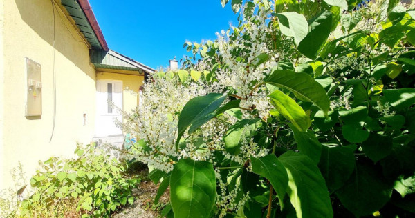 Spatiu pretabil activitati birouri, ateliere copii, recreere