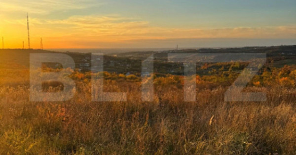 Teren Penoramic de 2700mp, Podgoria